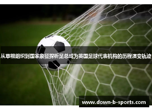 从草根组织到国家象征探析足总成为英国足球代表机构的历程演变轨迹