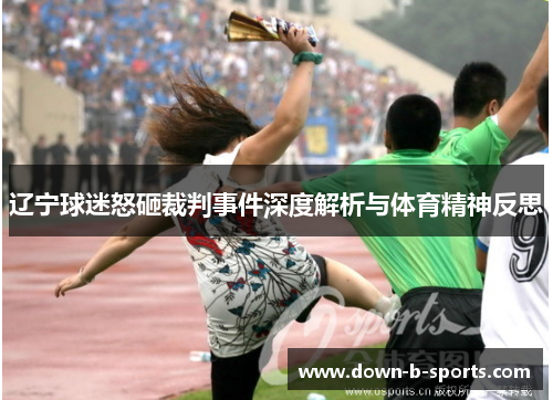 辽宁球迷怒砸裁判事件深度解析与体育精神反思
